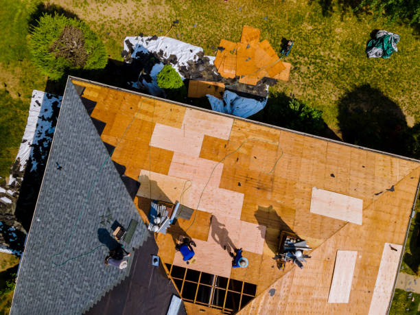 Best Metal Roofing Contractor  in Delphos, OH