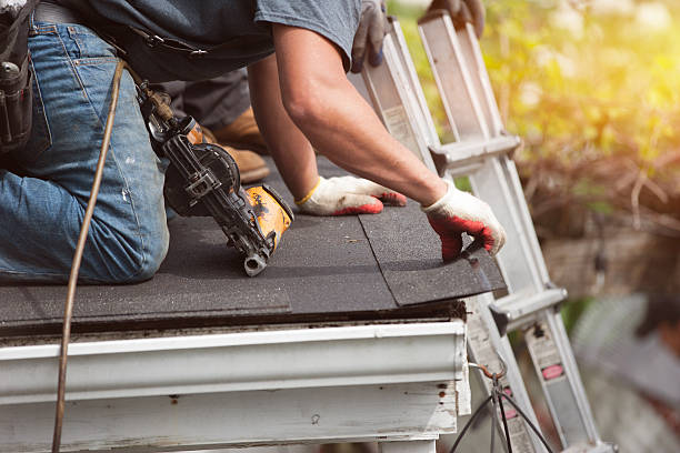 Best Roof Leak Repair  in Delphos, OH
