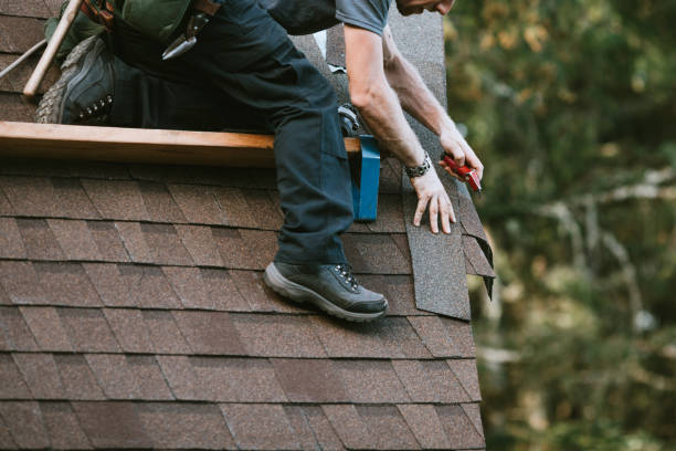 Best Local Roofing Companies  in Delphos, OH