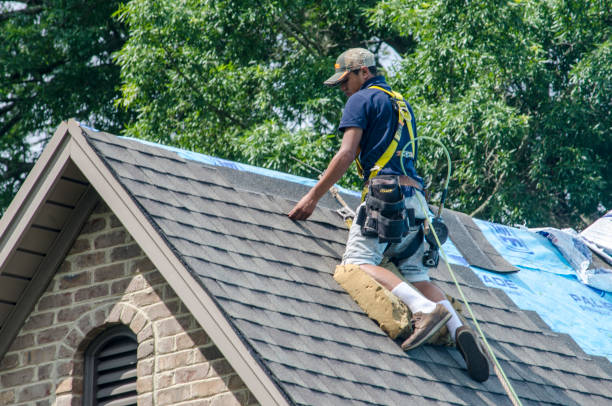 Best Gutter Installation and Roofing  in Delphos, OH